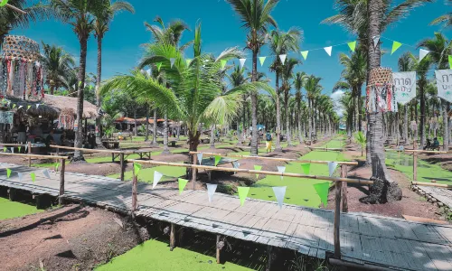 Coconut Market