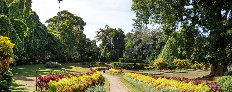 Royal Botanic Gardens, Peradeniya
