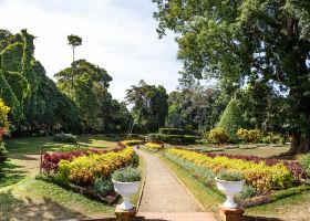 Hotels near Sri Dalada Maligawa