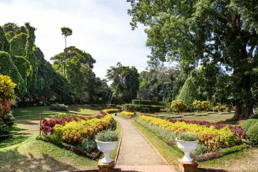 Jardin botanique de Peradeniya