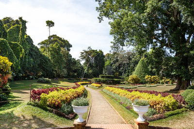 Königlicher Botanischer Garten Peradeniya