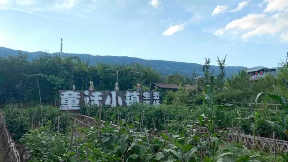 tong hua xiao zhen zhi zao meng sen lin