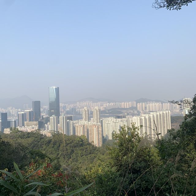 新手合家歡行山路線 遠眺港島東及九龍東景