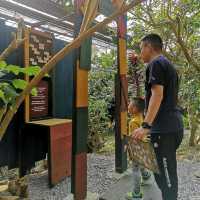 沖繩水果樂園
