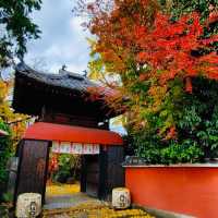 Beautiful temples Autumn leaves