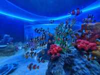Ocean Park Cebu