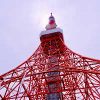 新緑の東京タワー