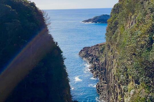 0102l22343hyenbr4066E_R_600_40