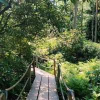 Rhododendron park in Helsinki