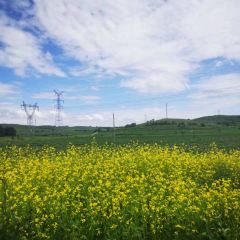 张北天路安娜庄园 User Photo