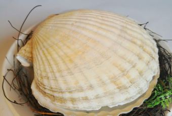 Silver pot User Photo