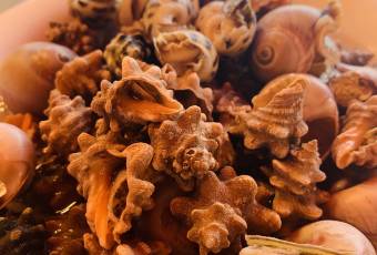 沈家門海鮮夜排檔39-40號用戶圖片