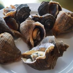 Wuyi Mountain Dahongpao Mountain Villa User Photo