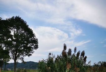 Fortune Pavilion User Photo