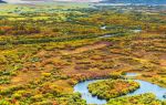 Ergun Wetlands