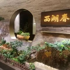西湖春天·粤菜 User Photo