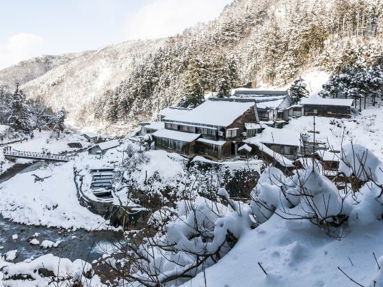 Snow Monkey Park (Jigokudani Yaen Koen)