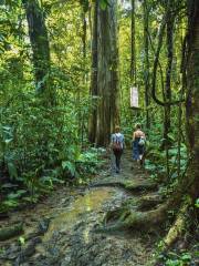 Akasawa Natural Recreational Forest