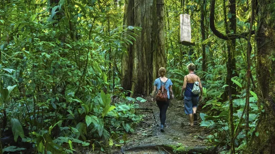 Akasawa Natural Recreational Forest