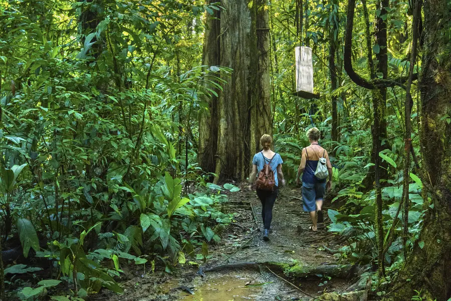 Akasawa Natural Recreational Forest