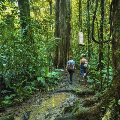 Cairns to Ibaraki Flights