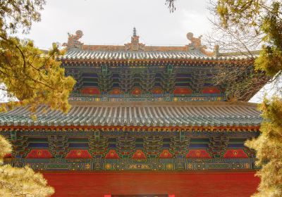 Putuoshan Religious Culture Scenic Area