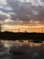 Nankan River Artificial Wetland Green Park