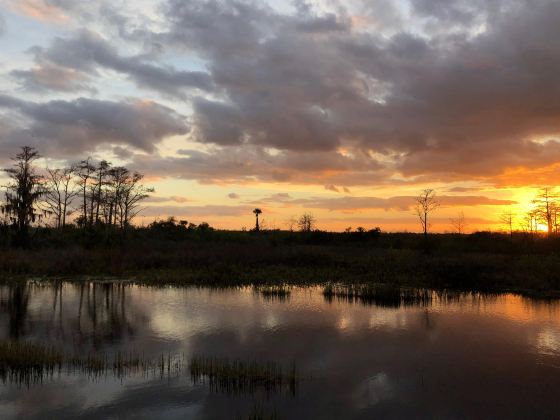 Nankan River Artificial Wetland Green Park