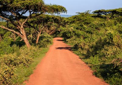 Tsavo N. Park