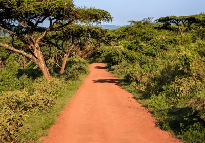 Tsavo N. Park