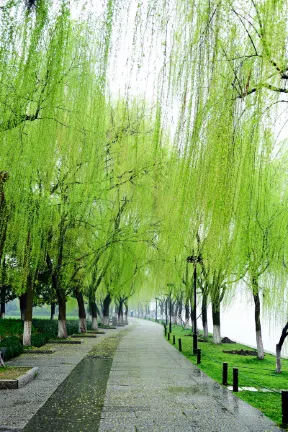 Zhongya International Hotel