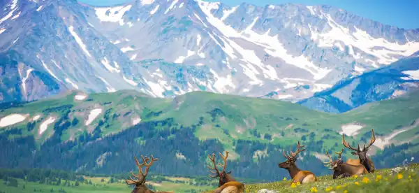 Estes Park