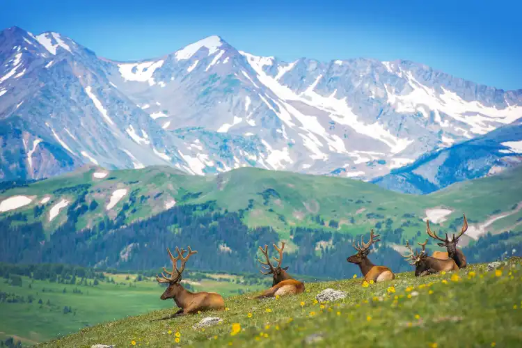 Quality Inn Hotels in Estes Park