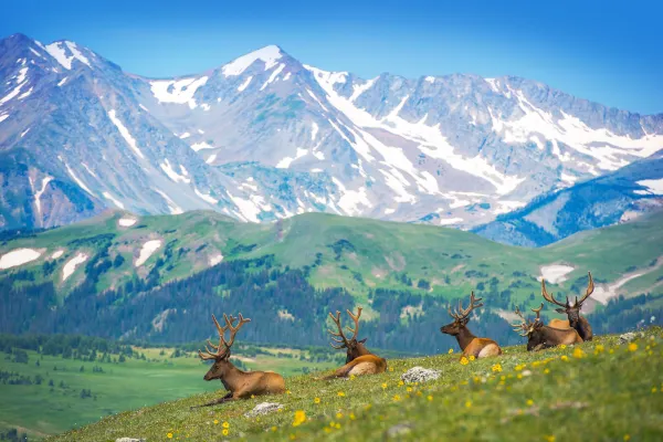 Norse Atlantic Airways Flights to Gunnison