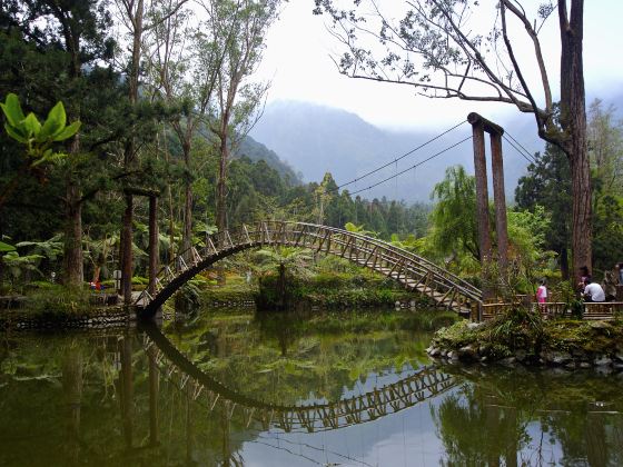 University Pond