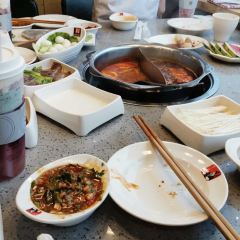 Guodaxia Hot Pot (gushi) User Photo