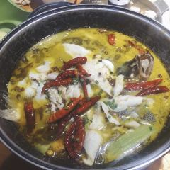 CHU CI AN DIAN DIAN User Photo
