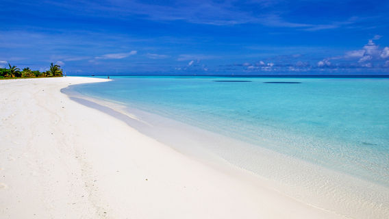 Maldive