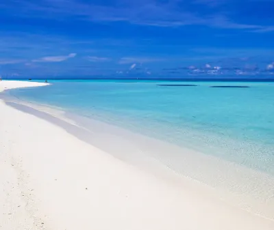 Hotels near Shark Feeding