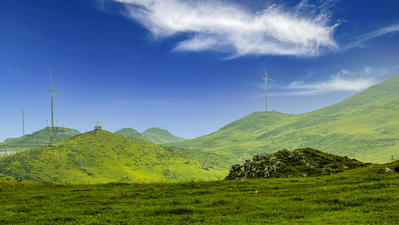 Ореховый лук