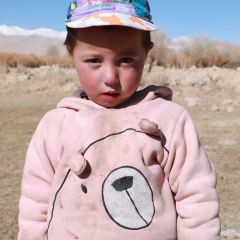 Nanjiang Dabazha User Photo