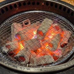 Steak & Restaurant Miraikan User Photo