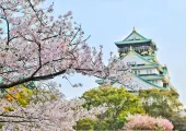 【日本旅遊 2025】日本自由行全攻略！必玩景點、預算、交通、熱門旅遊季一文就夠！