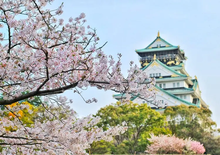 【日本旅遊秘笈2024】全日本10大分區旅遊景點推薦、旅遊預算、交通及熱門旅遊季節等日本自由行全攻略