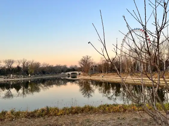 鄰近龍潭西湖公園的酒店
