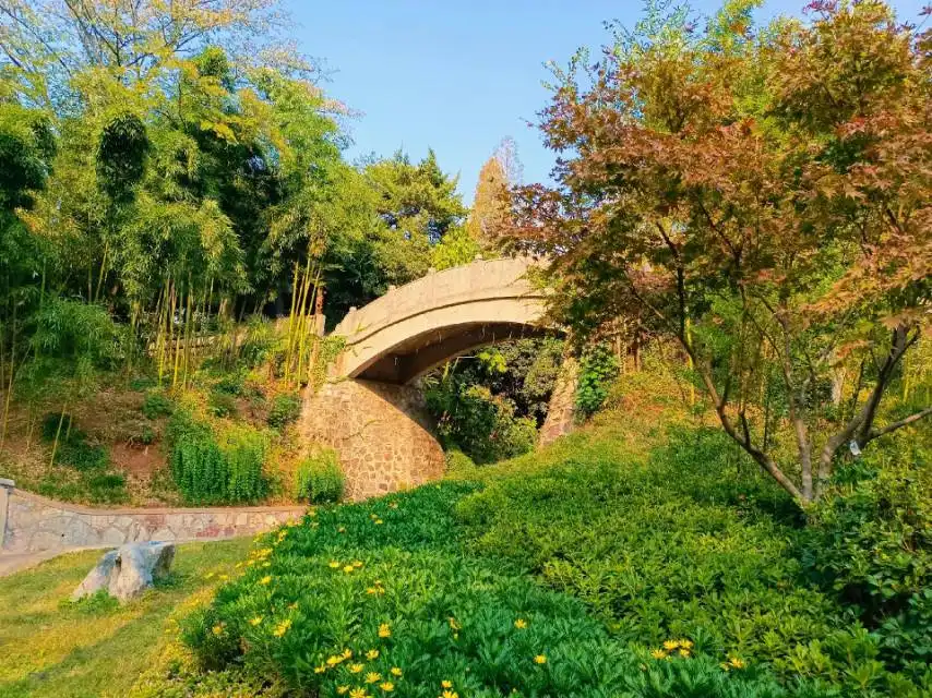 Hotels near Juhuatai Park