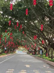 三嶺山國家森林公園