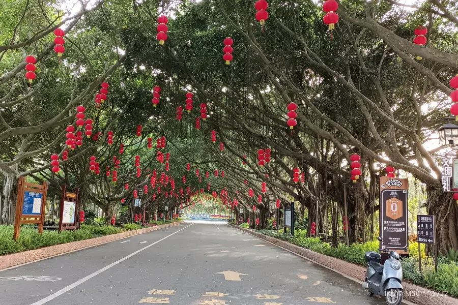 Zhanjiang Forest Park