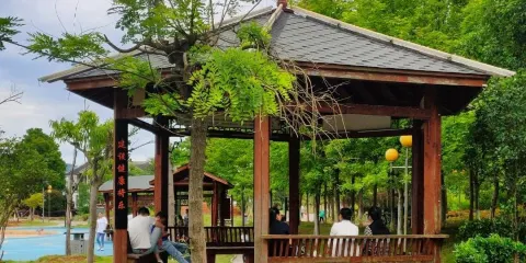 將樂縣上河洲公園
