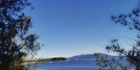 白鷺天堂